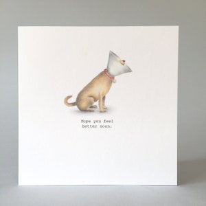 May include: A greeting card featuring a cartoon illustration of a dog wearing a cone of shame. The text on the card reads "Hope you feel better soon."