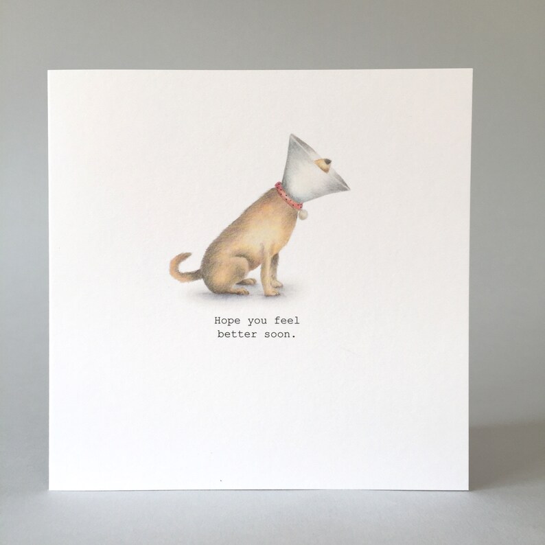 May include: A greeting card featuring a cartoon illustration of a dog wearing a cone of shame. The text on the card reads "Hope you feel better soon."