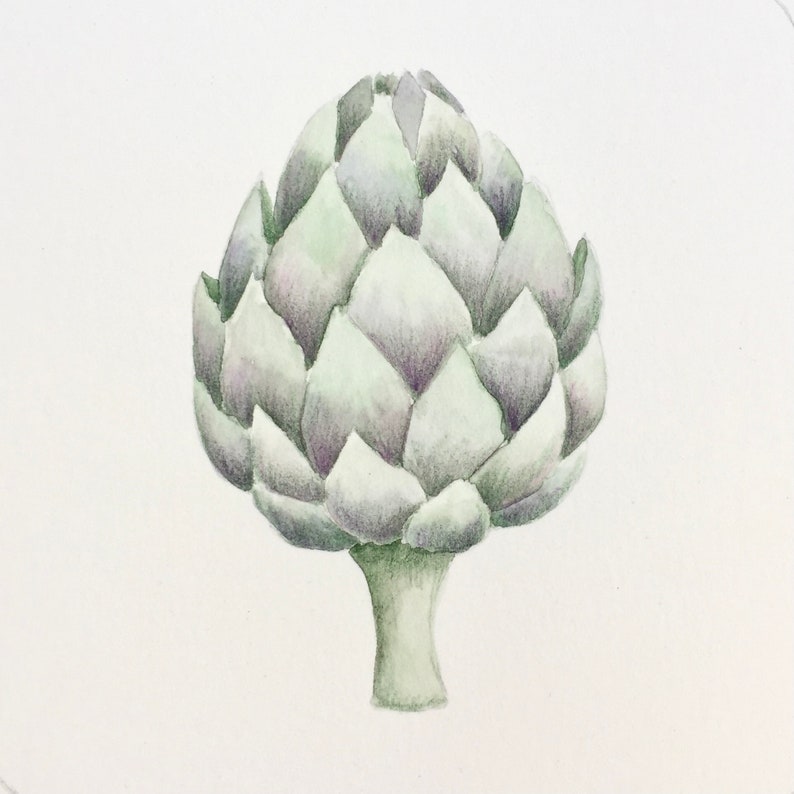 Luxury thank you cards in gift box. Thank you cards with artichoke illustration. Gardener's gift. Mother's Day gift. Stationery lover gift image 3