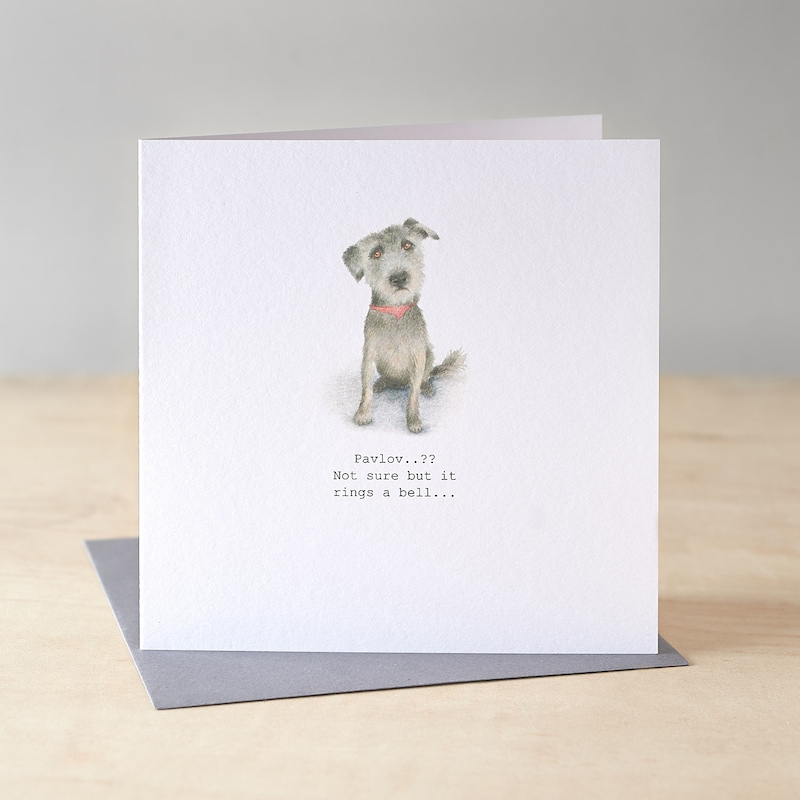 Dog Birthday Card - Etsy UK