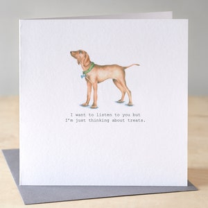 Biglietto di auguri di compleanno Vizsla. Divertente biglietto di auguri di compleanno per cani. Illustrazione di Vizsla. Biglietto per amanti dei cani. Disegno di Vizsla.
