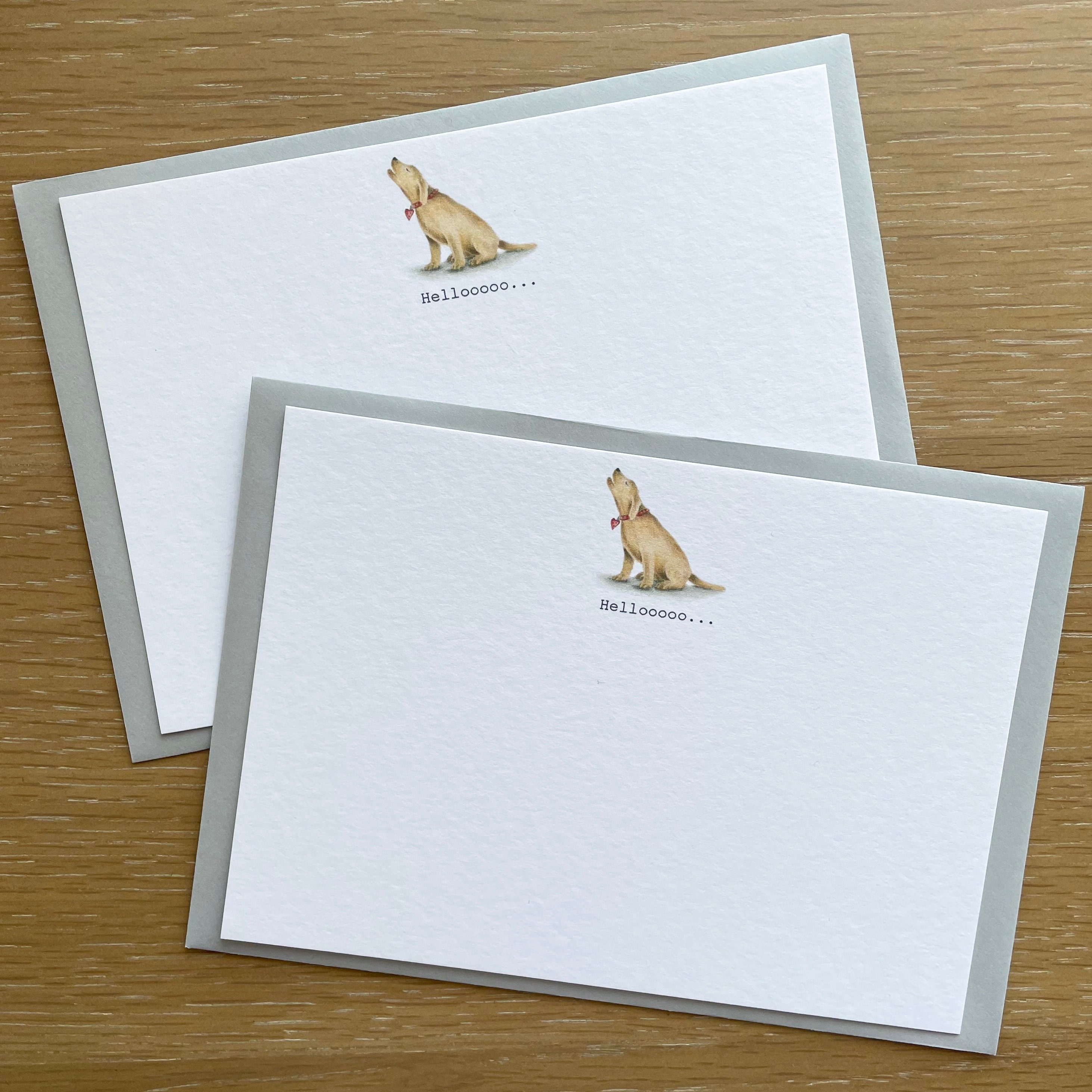 Labrador gift. Stationery gift. Correspondence cards with hand illustrated yellow lab. Boxed set of A6 flat notecards and envelopes