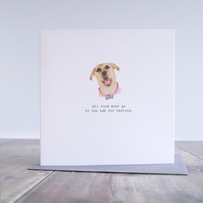 Yellow labrador birthday card. Funny labrador birthday card. Yellow lab card. Labrador card. Golden lab card. Funny dog birthday card. image 3