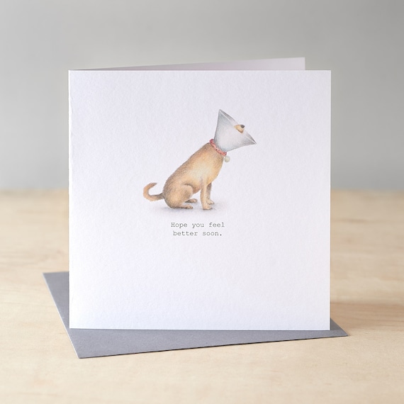 Funny Get Well Card: Labrador Dog in Cone, Watercolour Art