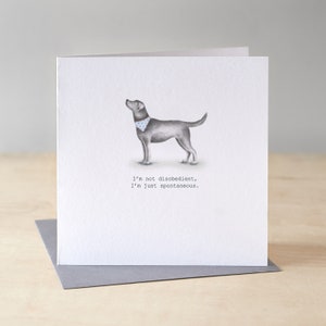 Carte d'anniversaire labrador noire. Carte d'anniversaire drôle du labrador.  Carte de voeux de laboratoire noir.