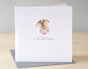 Yellow labrador birthday card. Funny labrador birthday card. Yellow lab card. Labrador card. Golden lab card. Funny dog birthday card.