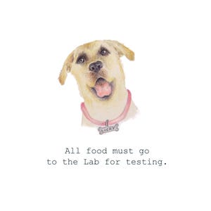 Puede incluir: Un perro Labrador Retriever marr&oacute;n claro con un collar rosa y una etiqueta plateada que dice "LUCKY" est&aacute; mirando a la c&aacute;mara con la boca abierta. El texto "All food must go to the Lab for testing." est&aacute; debajo del perro.