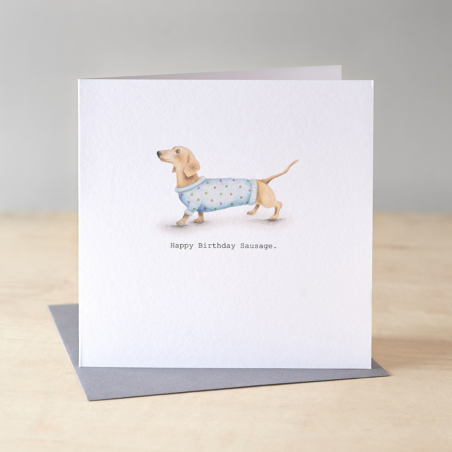 1 2 3 4 5 TODAY Dachshund sausage dog arranges bathtime message Birthday card