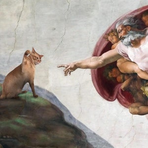 Creazione del gatto / Divertente parodia di meme Stampa artistica Creazione di Adamo Gatto che schiaffeggia Divertente regalo d'arte umoristico per gli amanti dei gatti Animale domestico personalizzato