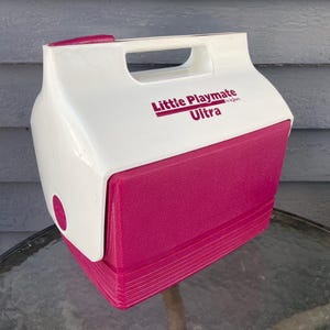 1980s Igloo Cooler - Etsy