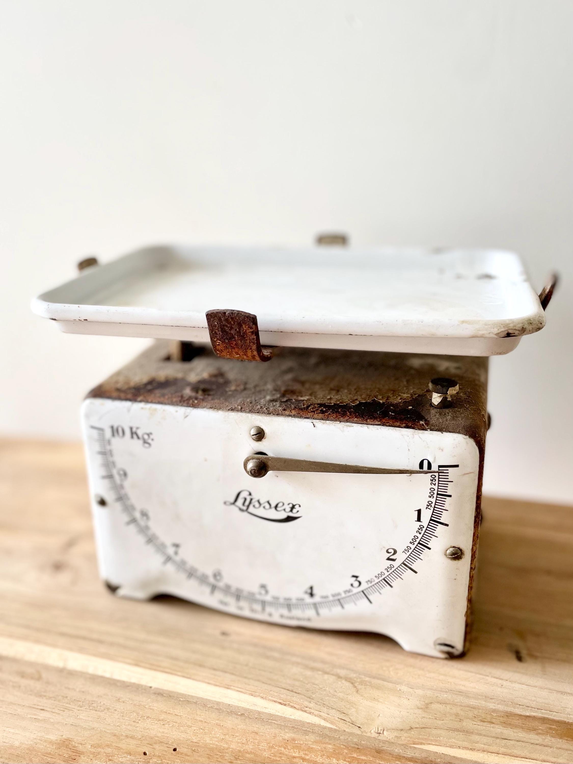 Lyssex Scale - Etsy