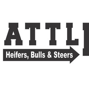 Cattle - Heifers, Bulls & Steers, Farmhouse Decor, Ranch Decor, Cows, Digital File, SVG, Cricut, Silhouette, Cut File, Vinyl Decal 1576