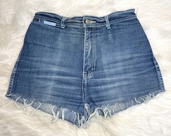 Vintage Gitano Purple Embroidery Denim Shorts 28” Waist