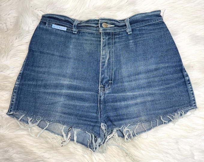 Vintage Gitano Purple Embroidery Denim Shorts 28” Waist