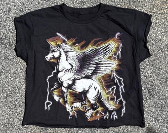 The “Electric Pegasus” Vintage Graphic Top