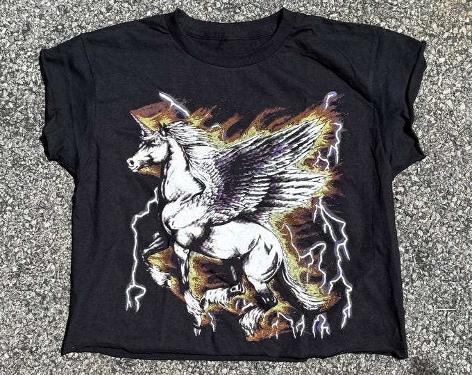 The “Electric Pegasus” Vintage Graphic Top