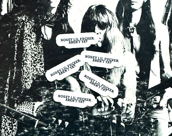 5 Pack of Mini Stickers - Nosey Lil Fucker Vintage Inspired