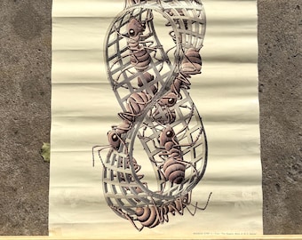 Vintage 1970 M. C. Esher Infinity Ants Poster 18” x 24”