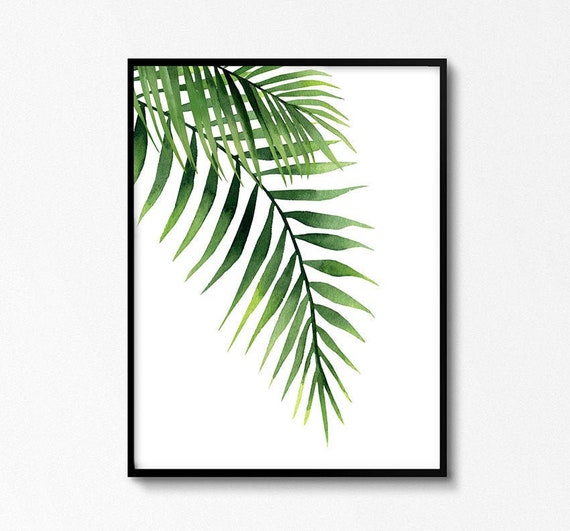 Palm Frond Art Exotic Leaf Watercolor Botanical Wall Art Etsy Palm Frond Art Exotic Leaf Watercolor Botanical Wall Art Etsy