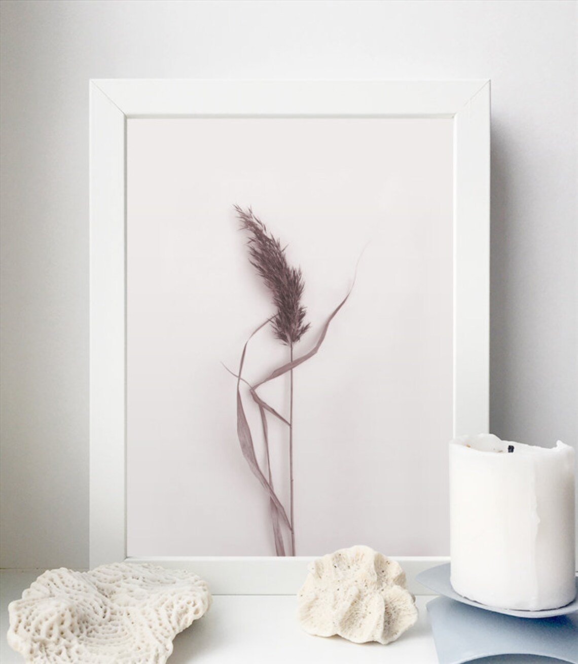 Pampas Grass Decor Dried Plant Photo Rustic Wall Poster Etsy
