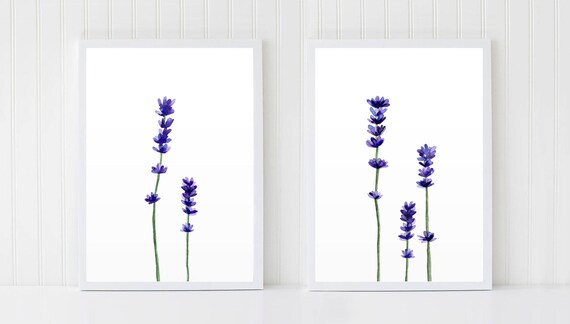 lavender art set flowers posters watercolour flower purple wall art botanical lavender poster minimalist plant decor floral room gifts purple flower posters