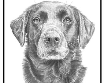 Custom Pet Portrait Sketch from Photo Hand Drawn Dog Cat Horse Gift Pencil Drawing