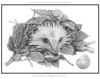 Owl Fox Hedgehog Badger Prints Wildlife Art Set Pencil Drawing