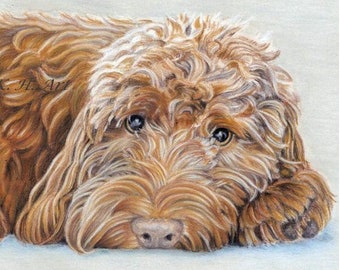 Custom Pet Portrait Colour Pencil Drawing Sketch from Photo Hand Drawn