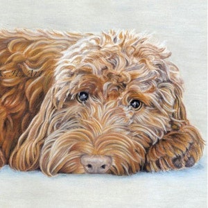 Custom Pet Portrait Colour Pencil Drawing Sketch from Photo Hand Drawn
