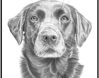 Custom Pet Portrait Sketch from Photo Hand Drawn Dog Cat Horse Gift Pencil Drawing