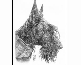 Pet Portrait Pencil Drawing Loss Memorial Gift Large Custom Sketch from Photo Hand Drawn