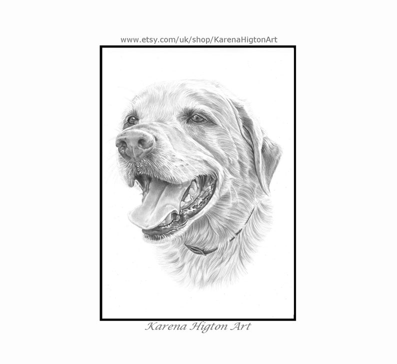 Custom Pet Portrait Sketch from Photo Hand Drawn Dog Cat Horse Gift Pencil Drawing image 5