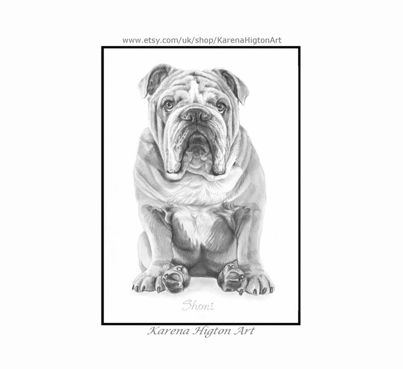Custom Pet Portrait Sketch from Photo Hand Drawn Dog Cat Horse Gift Pencil Drawing image 8