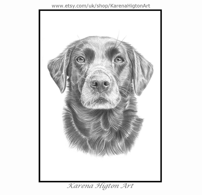 Custom Pet Portrait Sketch from Photo Hand Drawn Dog Cat Horse Pencil Drawing