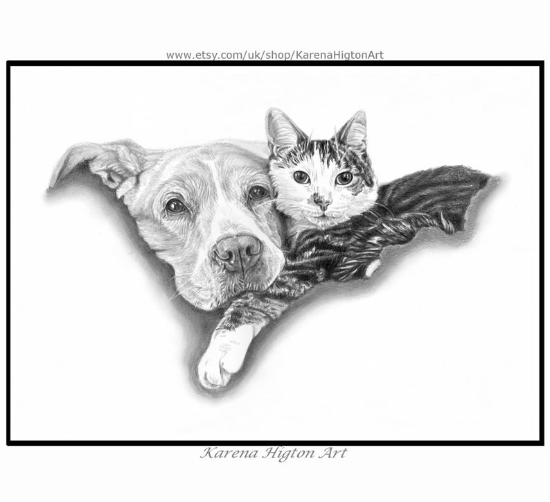 Custom Pet Portrait Sketch from Photo Hand Drawn Dog Cat Horse Gift Pencil Drawing image 10