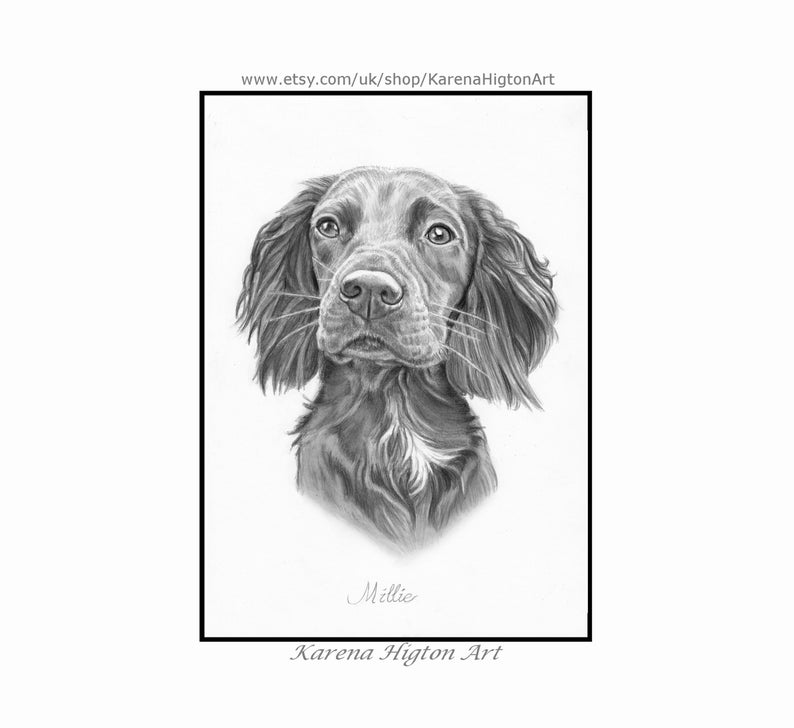 Custom Pet Portrait Sketch from Photo Hand Drawn Dog Cat Horse Gift Pencil Drawing image 4