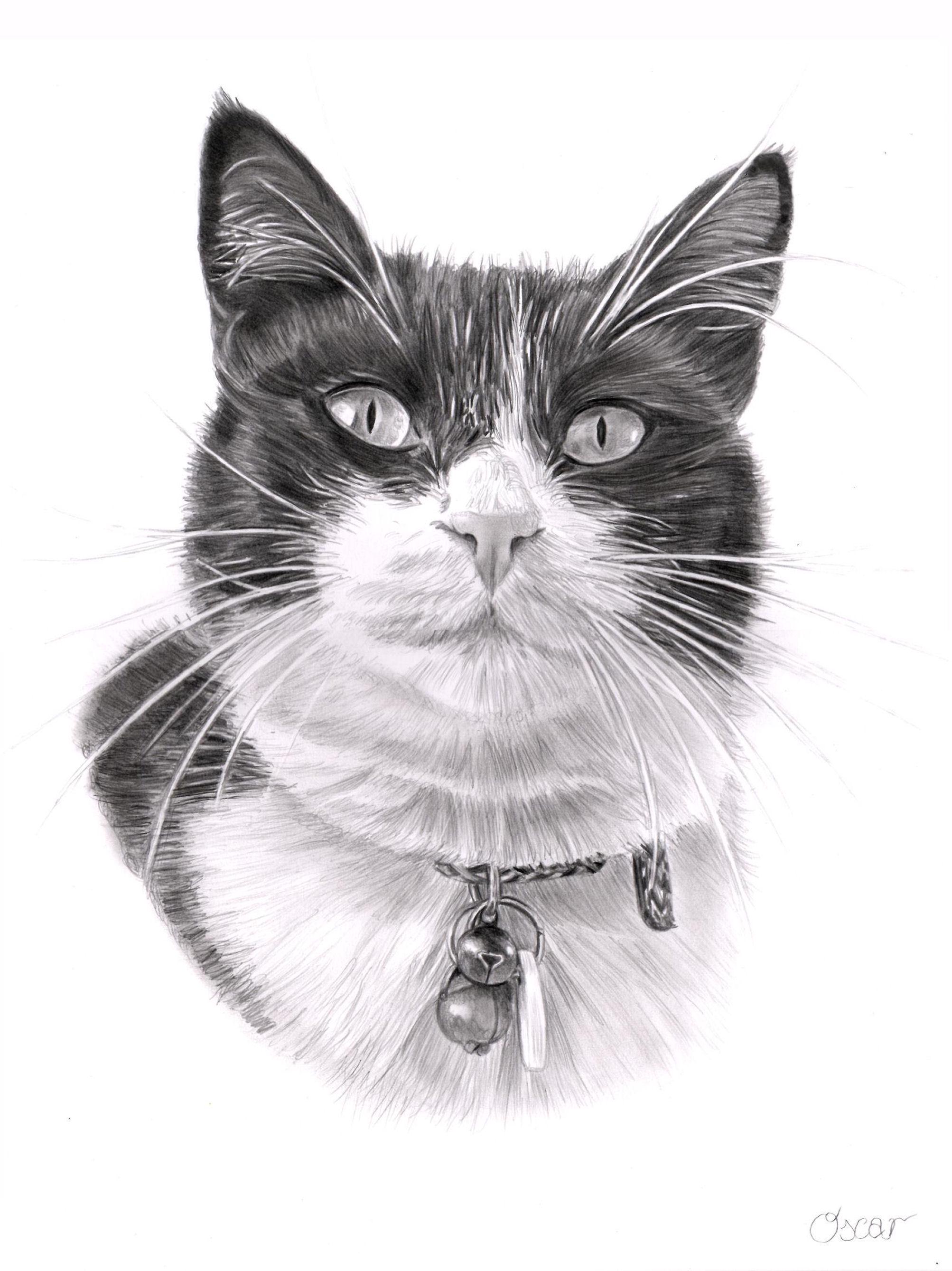 Pet Portrait Custom Pencil Drawing Hand Drawn Sketch From Photo - Etsy UK