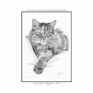 Custom Pet Portrait Sketch from Photo Hand Drawn Dog Cat Horse Gift Pencil Drawing image 7