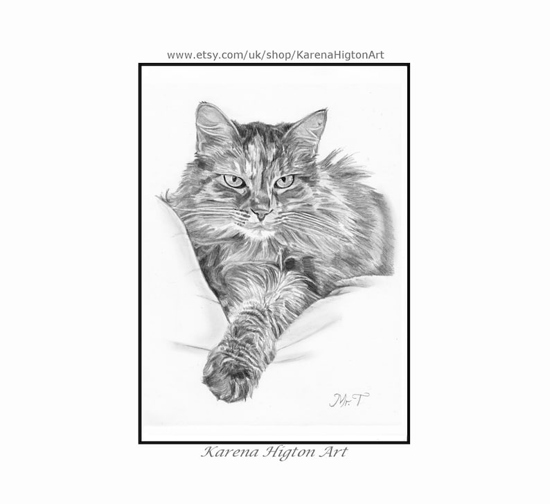 Custom Pet Portrait Sketch from Photo Hand Drawn Dog Cat Horse Gift Pencil Drawing image 7