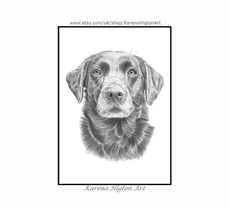 Custom Pet Portrait Sketch from Photo Hand Drawn Dog Cat Horse Gift Pencil Drawing image 1