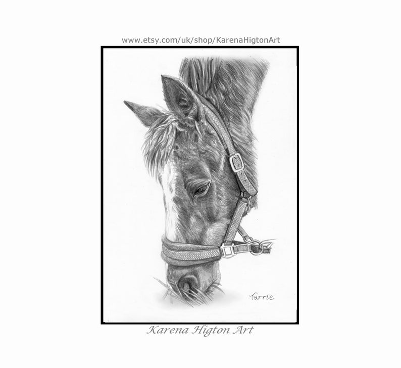 Custom Pet Portrait Sketch from Photo Hand Drawn Dog Cat Horse Gift Pencil Drawing image 6