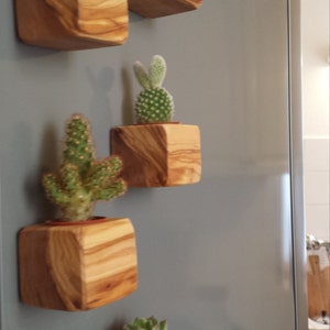 MINI wooden VASE door - cactus - MAGNETIC - with magnet - handmade, handmade!