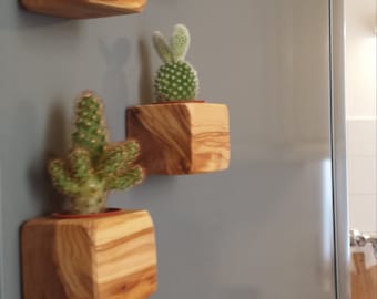 May include: Five small wooden planters with magnets on the back, attached to a gray refrigerator. Each planter holds a small succulent plant.