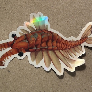 Adesivo olografico Anomalocaris!!