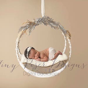 Boho Gold Feathers Newborn Photography Digital Backdrop Composite Prop