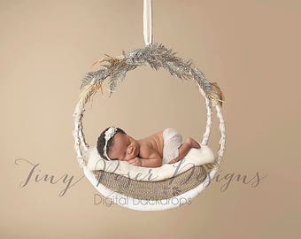 Boho Gold Feathers Newborn Photography Digital Backdrop Composite Prop