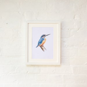 Kingfisher Illustration Print, British Birds Watercolour Illustration Artwork image 3