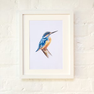 Kingfisher Illustration Print, British Birds Watercolour Illustration Artwork image 1