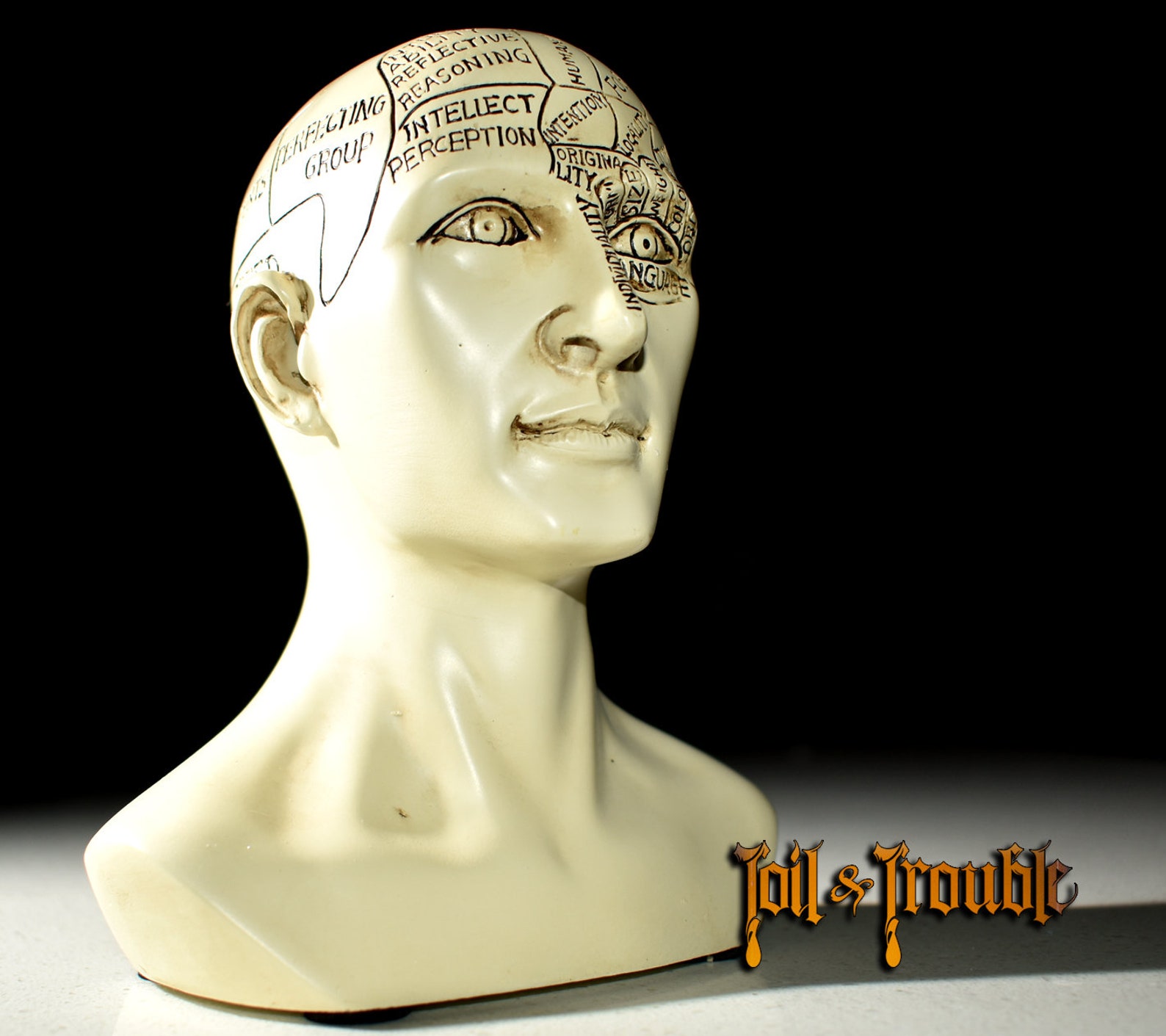 Phrenology head Science of The Brain Statue oddity bust Etsy