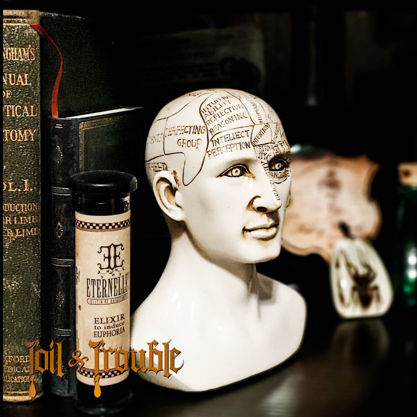 Phrenology head Science of The Brain Statue oddity bust Etsy